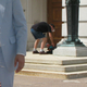 Image for article titled Accidental Photobomb Leads to Bag Thief's Capture